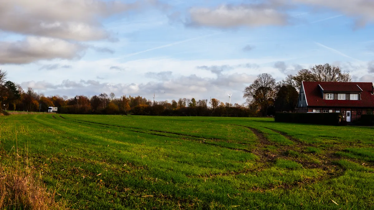 Septic System Landscaping & Surface Protection — The Complete Guide Open grassy field beside a house and tree line