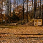 Wooded residential yard with leaf-covered ground and a small shed