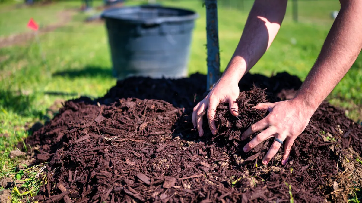 Person spreading mulch around a tree