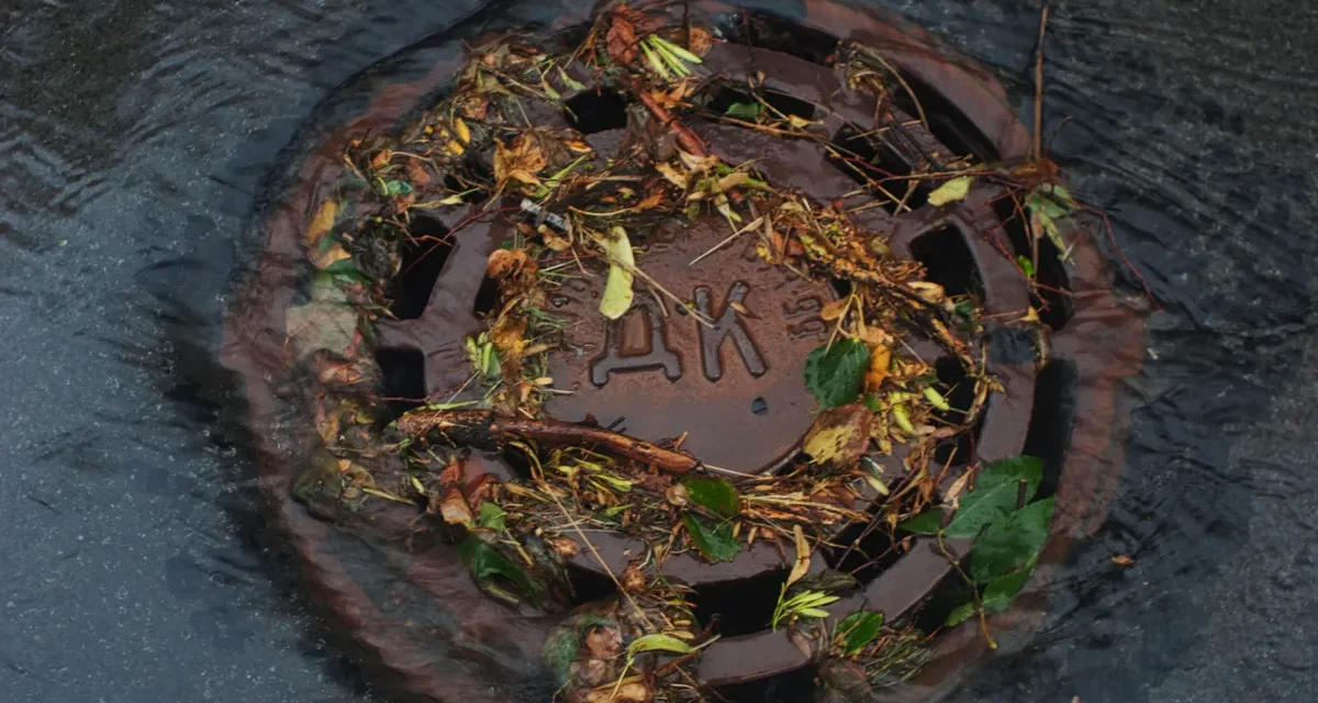 flooded storm drain cover with debris