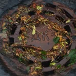 flooded storm drain cover with debris