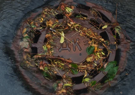 flooded storm drain cover with debris